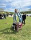 img-20250418-wa0020