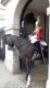 img-20240612-wa0008