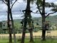 whatsapp_image_2026-06-08_at_17