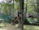 whatsapp_image_2026-06-08_at_17
