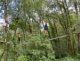 whatsapp_image_2026-06-08_at_17