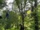 whatsapp_image_2026-06-08_at_17