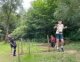 whatsapp_image_2026-06-08_at_17
