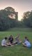 img-20260526-wa0022