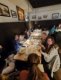 img-20260518-wa0020