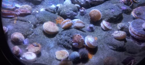 photo_4-3