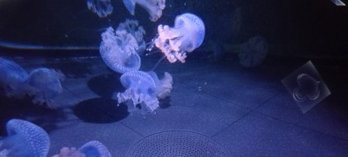 photo_6
