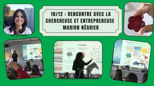 marion_negrier_2_