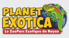 capture_d_ecran_2025-06-01_111601
