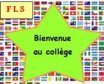 Visitez ce blog ! Des ressources pour apprendre le français !