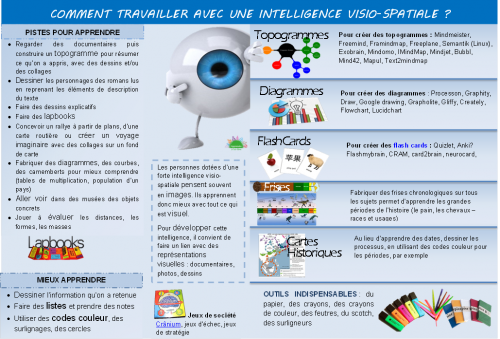 intelligence-visiospatiale1