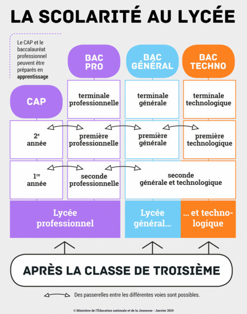 schema-passerelles-au-lyc-e-14708-2