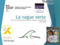Article