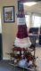 sapin_cubes