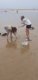 img-20250910-wa0015