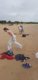 img-20250910-wa0019