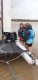 img-20250911-wa0008
