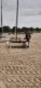 img-20250911-wa0014