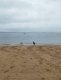 img-20240911-wa0008