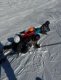 img-20250205-wa0004