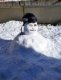 img-20250206-wa0006