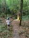 img-20250624-wa0033