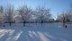 img_20260106_103429