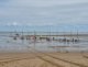 img-20250909-wa0046