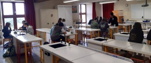 1c