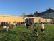 img-20241016-wa0039