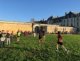 img-20241016-wa0042-2