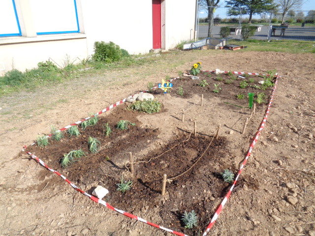 Le jardin des sciences - Site du collège de Thénezay - Pédagogie
