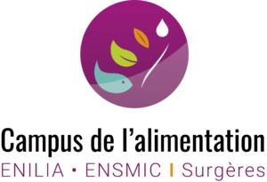 enilia-ensmic-logo-final-quadri-e1672843762126-300x205