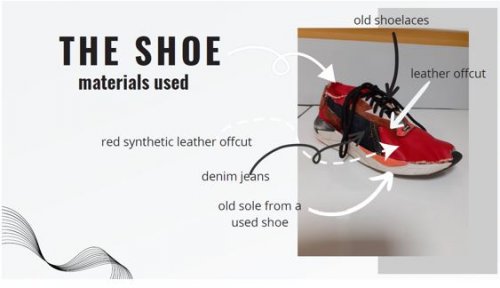 the_shose