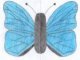 papillon013