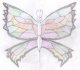 papillon036