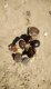img-20250618-wa0055