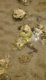 img-20250618-wa0063