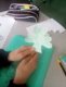 img20250312111209