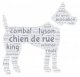 nuage_lilou