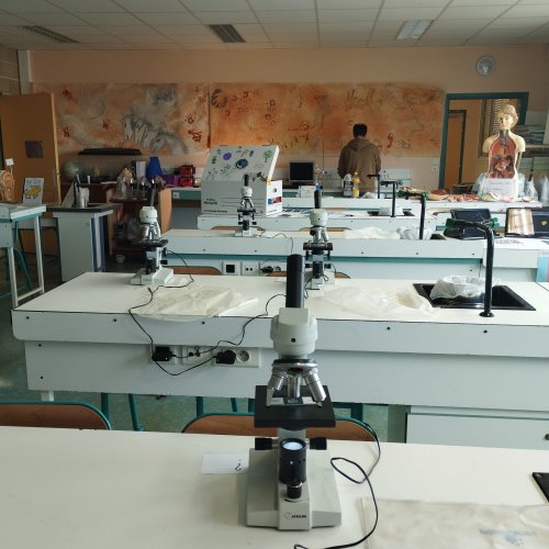Observations microscopiques