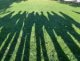 img-20251012-wa0015