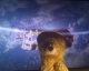 img-20260527-wa0033