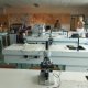 Observations microscopiques