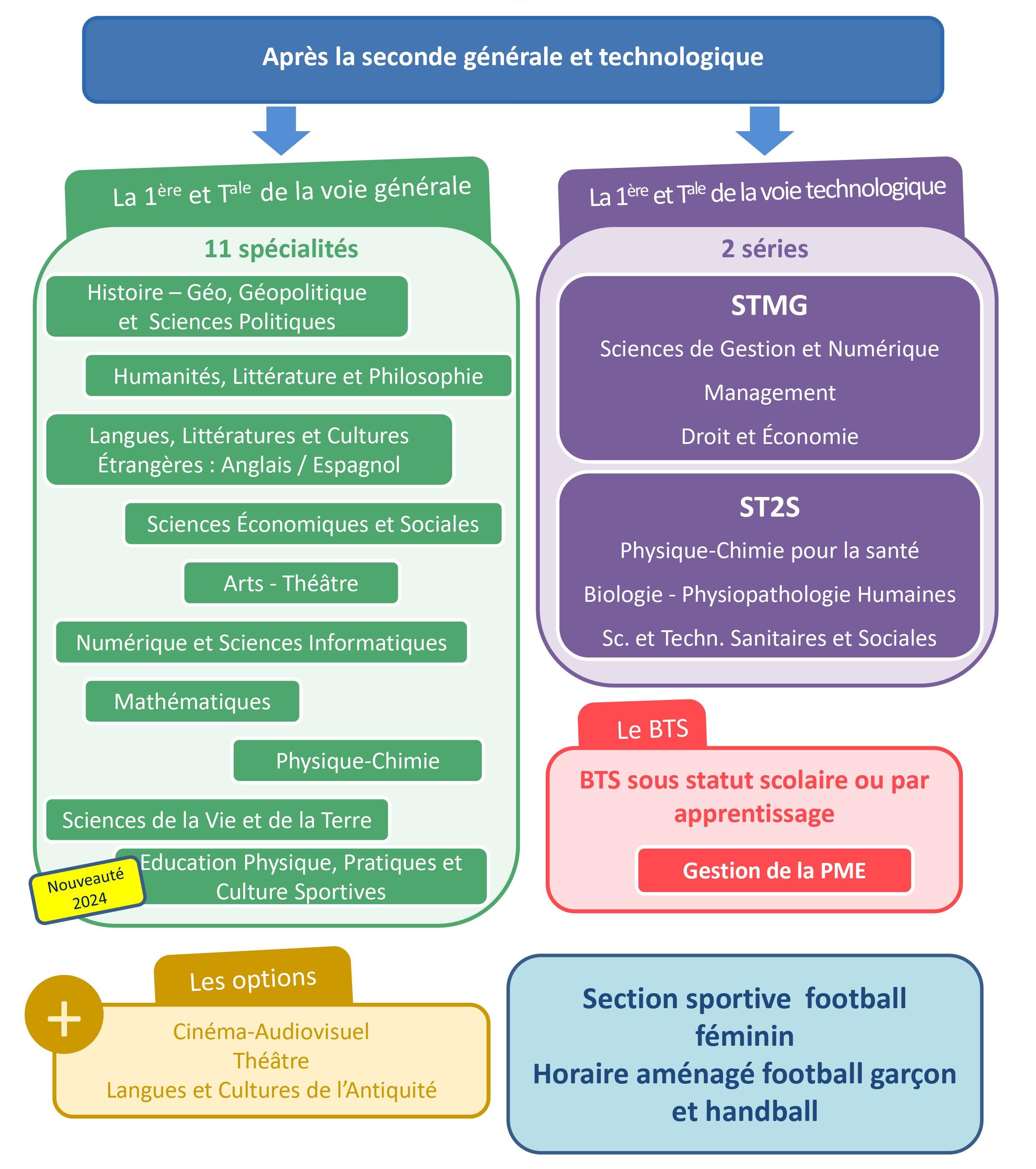 organisation_des_formations_lmg1