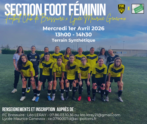 affiche_section_lycee_-_lycee_genevoix