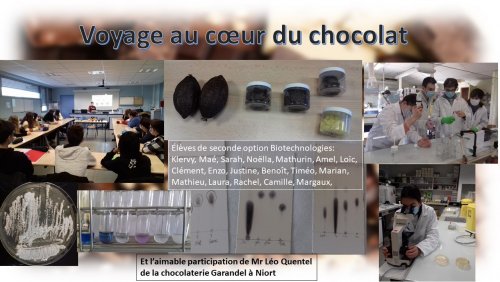 Affiche sur le projet chocolat