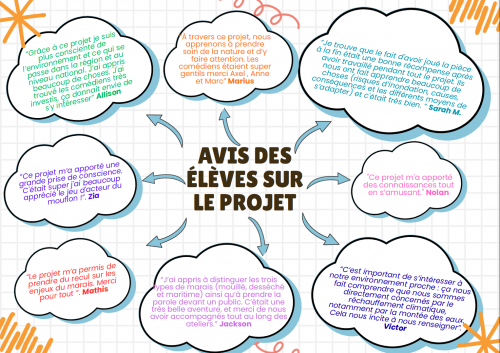 Avis des élèves sur le projet