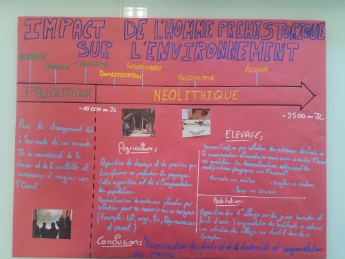 Impact de l'homme préhistorique sur l'environnement