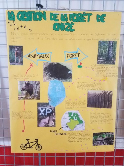 Affiche sur la gestion de la forêt de Chizé